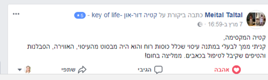 מיטל